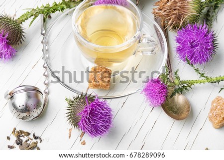 Similar – Image, Stock Photo prickly Thorny Thistle