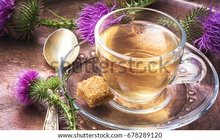 Similar – Image, Stock Photo prickly Thorny Thistle