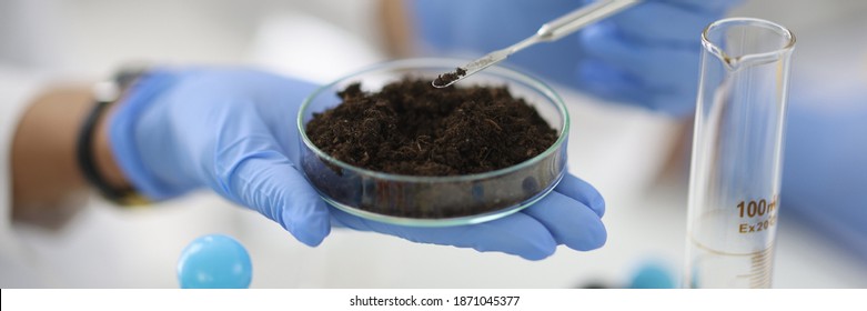 Glass cup with soil sample stands on hand in rubber glove in chemical laboratory closeup. Biochemical analysis of soils concept. - Shutterstock ID 1871045377