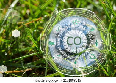 Glass Earth Planet On The Grass, Carbon Neutral Bussiness Concept, Climate Positive And Net Zero Carbon Emissions