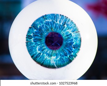 Glass Eye Close-up