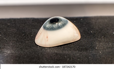 Glass Eye Prosthetic (Ocular Prosthesis)