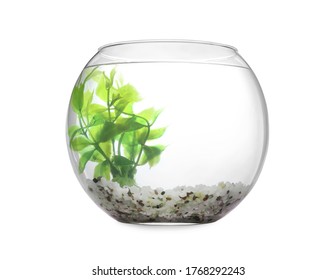 Glass fish bowl with clear water, plant and decorative pebble isolated on white