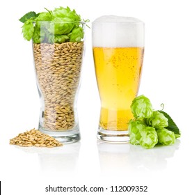 Glass Of Fresh Beer And Cup Full Of Barley And Hops Isolated On White Background