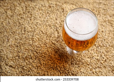 Glass Full Of Light Beer Standing On Barley Malt Grains