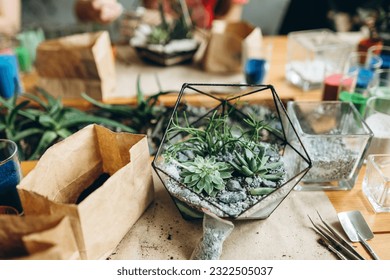 Glass geometric florarium, terrarium, with succulent,  sand,  pebbles. Metal handmade vase planter for home decor and table decoration