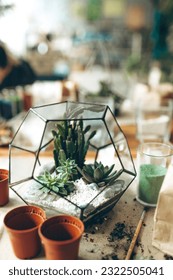 Glass geometric florarium, terrarium, with succulent,  sand,  pebbles. Metal handmade vase planter for home decor and table decoration