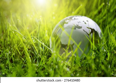 Glass globe in the grass concept for environment and conservation