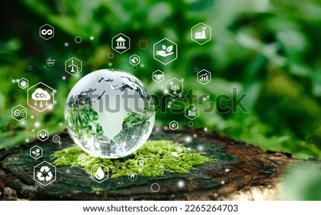 Glass globe in green forest with the icon environment of ESG, co2, circular company, and net zero.Technology Environment, society, and governance for sustainable business on green company Concept.