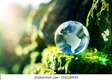 Glass globe in the in nature concept for environment and conservation