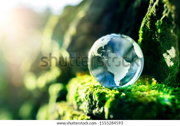 Glass Globe Nature Concept Environment Conservation Stock Photo (Edit ...