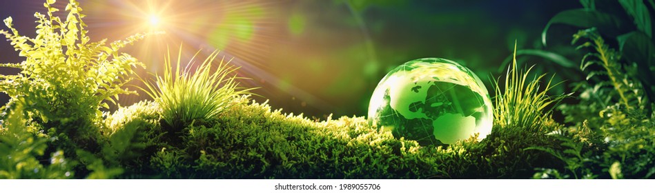 Glass globe on green moss in nature concept for environment and conservation - Shutterstock ID 1989055706