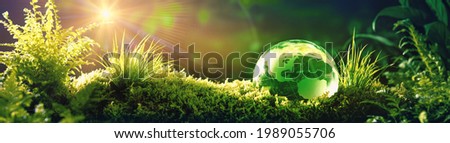 Glass globe on green moss in nature concept for environment and conservation