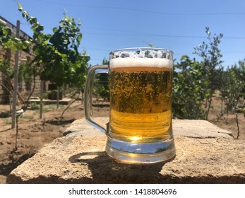 A Glass Of Golden Cold Beer In Garden In Hot Summer