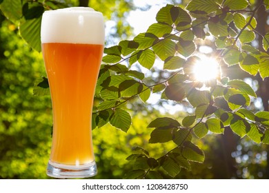 Glass Of Golden Wheat Beer In Front Of Green Leaves Of A Beech In The Forest In Summer 