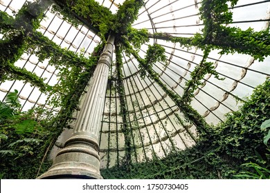 Glass greenhouse interior with tropical plants in the botanical garden. Glass roof, view from below