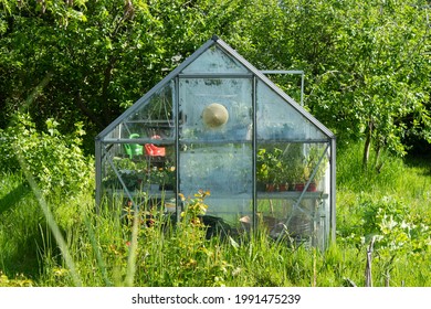 A Glass Greenhouse On An Allotment In York, UK.