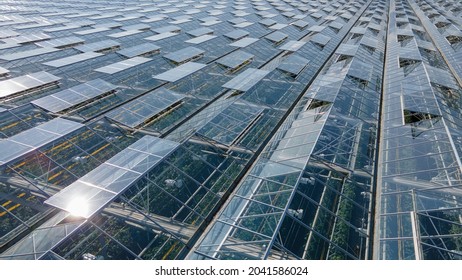 Glass greenhouses from above in sunny weather
