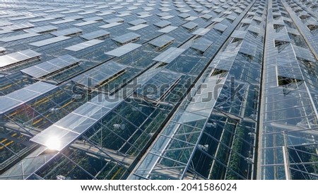 Glass greenhouses from above in sunny weather
