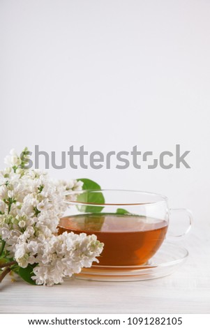 Similar – Cup with acacia blossoms Tea with spoon and honey