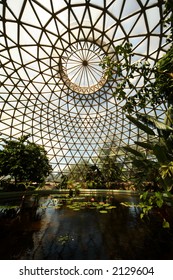 Glass House In Botanical Garden, Brisbane, Australia