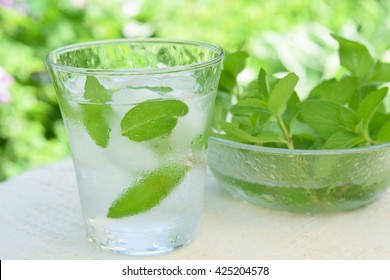 Glass Of Iced Mint Water 