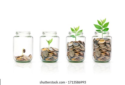 Glass jar of coins with growing plant  isolated on white background. Growing savings concept.