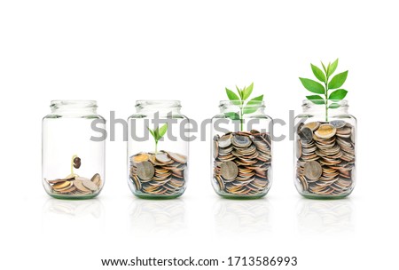 Glass jar of coins with growing plant  isolated on white background. Growing savings concept.