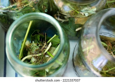 Glass Jar With Different Herbs On Table, Above View. Pickling Vegetables