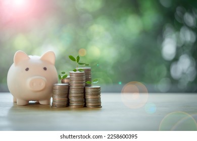 A glass jar with full of coin and plant growing from coins glass jar and piggy bank on blurred green natural background money saving and investment financial concept, Saving and banking concept. - Shutterstock ID 2258600395