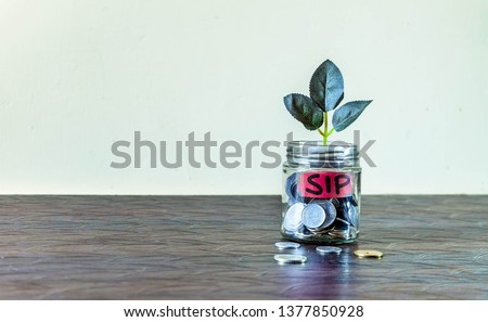 A glass jar full of coins and a plant growing through it. Concept image showing investment via Systematic Investment Plan (SIP) can help building wealth.