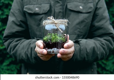 Glass jar with tiny forest made of soil, gravel, growing lichen (Cladonia fimbriata) and moss in man's hands. 
