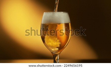 Glass of light beer pouring on shiny dark gold background. Studio shot with isolated glass of beer.