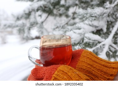 Glass mug with tea in hands in orange mittens on the background of a snow-covered pine tree, close-up