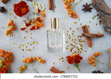    
Glass Perfume Bottle With Cinnamon Sticks, Orange Flowers And Bark Fragments On Gray Background.Flower Woody Fragrance Concept                            