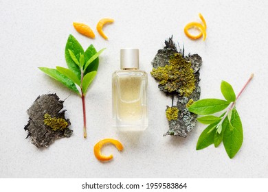 Glass Perfume Bottle With Green Leaves, Wooden Bark And Citrus Peel.The Concept Of A Fresh Woody Unisex Fragrance, Flat Lay