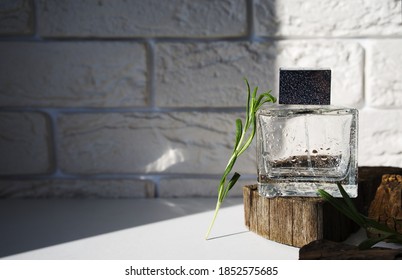
Glass Perfume Bottle With Rosemary Sprig On Wooden Podium Illuminated With Hard Light. Male Woody Herbal Fragrance Concept