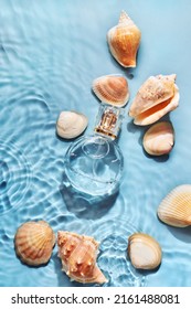 Glass Perfume Bottle And Sea Shells In Spray Water Background. Marine Summer Fragrance Concept