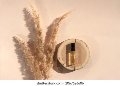 Glass Perfume Sample With Transparent Brown Liquid On Wooden Tray Or Disk Lying On Beige Background With Pampas Grass. Luxury And Natural Cosmetics Presentation. Tester On Woodcut In Sunlight. Flatlay