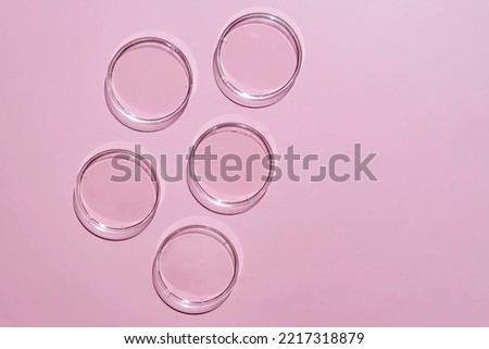 glass Petri dishes on pink backgroud. sterile lab dishes ready for tests. analysis and chemical experiment. cell culture growing equipment or cosmetics testing. top view. medical lab concept.
