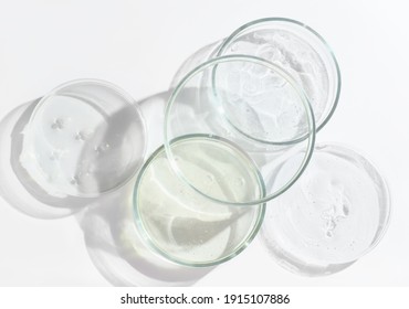  glass Petri dishes witn agar substrat on a laboratory table. sterile lab dishes ready for tests. analysis and chemical experiment. cell culture growing equipment. top view. medical lab concept.