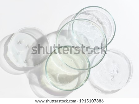  glass Petri dishes witn agar substrat on a laboratory table. sterile lab dishes ready for tests. analysis and chemical experiment. cell culture growing equipment. top view. medical lab concept.
