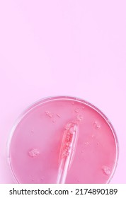 glass pipette serum gel in petri dish with place for text