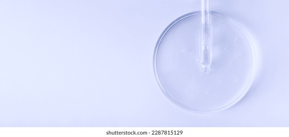 glass pipette serum gel in petri dish - Shutterstock ID 2287815129