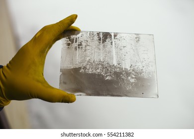 Glass Plate, With Negative Image, Ambrotype.