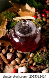 Glass pot of hot herbal rose hip berries tea on ambience autumnal forest background. Autumn leaves, moss, fir cones, snail shell, rosehip berries over wooden surface. Vitamin hot beverage.