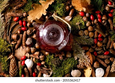 Glass pot of hot herbal rose hip berries tea on ambience autumnal forest background. Autumn leaves, moss, fir cones, snail shell, rosehip berries over wooden surface. Vitamin hot beverage.