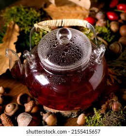 Glass pot of hot herbal rose hip berries tea on ambience autumnal forest background. Autumn leaves, moss, fir cones, snail shell, rosehip berries on wooden surface. Vitamin hot beverage. Square image