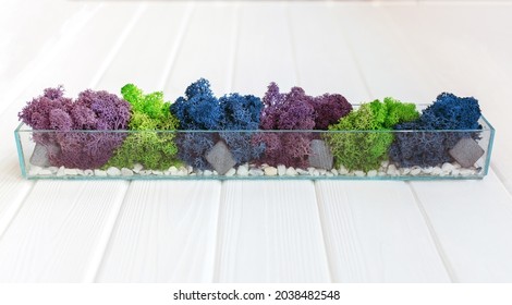 Glass Rectangular Mossarium With Colorful Moss And Stones On White Table. Decor Concept, Office, Home 