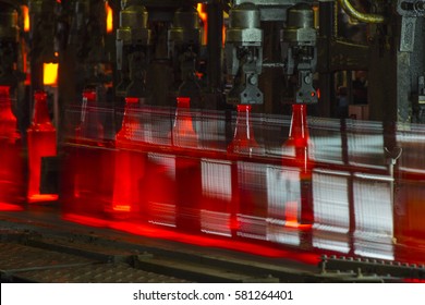 Glass Recycling. Movement Bottles On The Conveyer. Bpttles Manufacturing